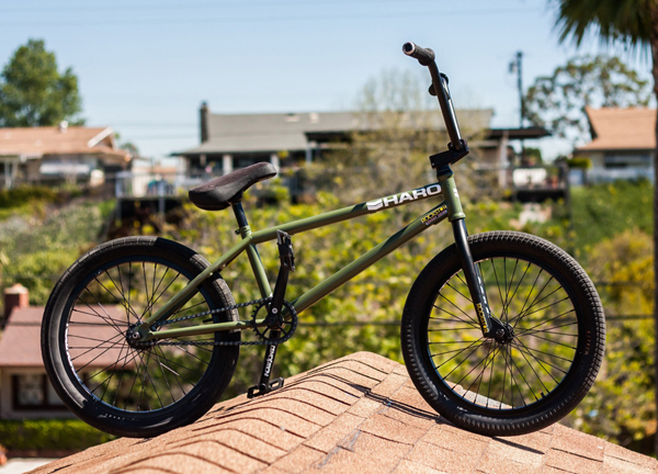 haro dennis enarson