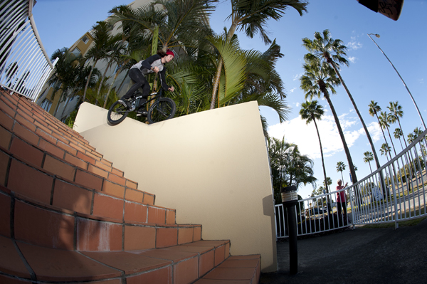 raph feble gap fence_600x