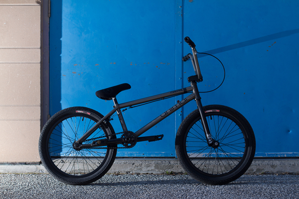 Chris Silva BMX