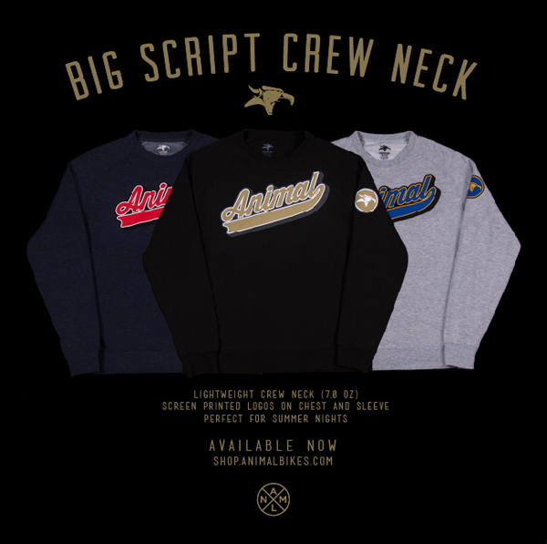 BigScript_CrewNeck_AvailableNow