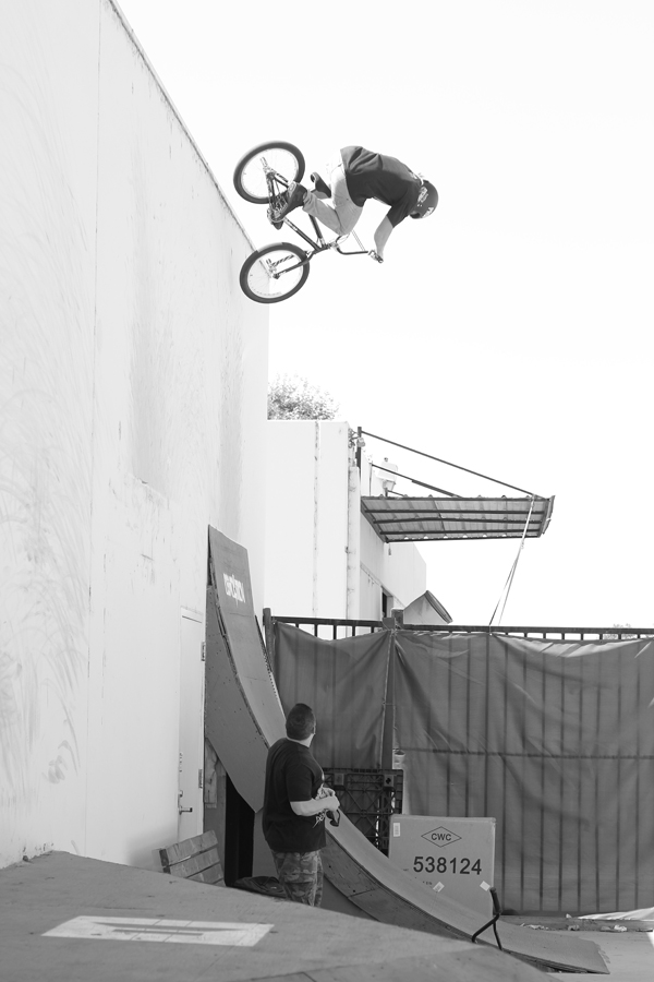 Ricky Moseley Vert Wall