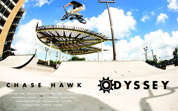 chase-hawk-179-600x