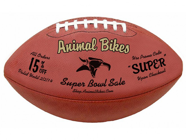 SuperBowlSALE_Jan14-660x495