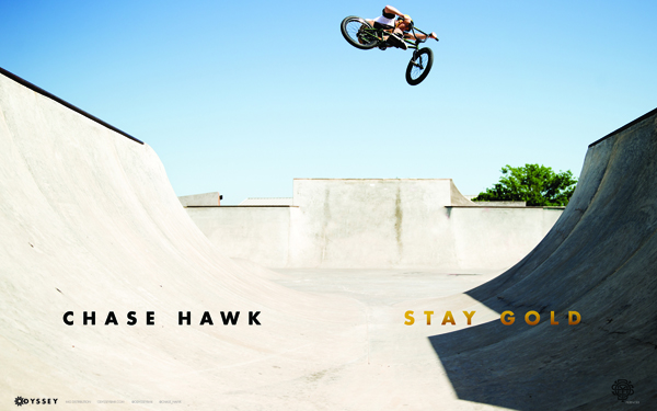 chase-hawk-stay-gold-600x