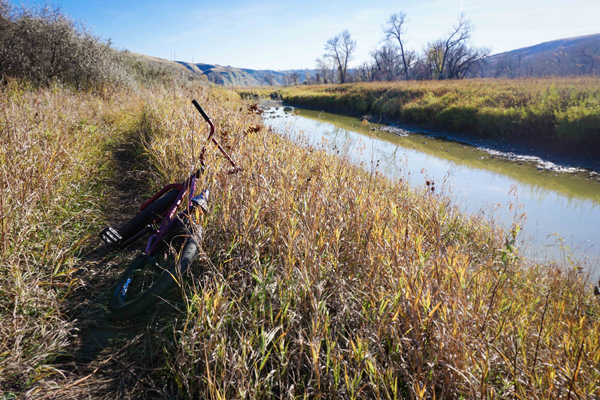 Islandwoods lethbridge alberta