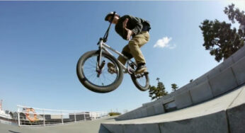 flourish bmx