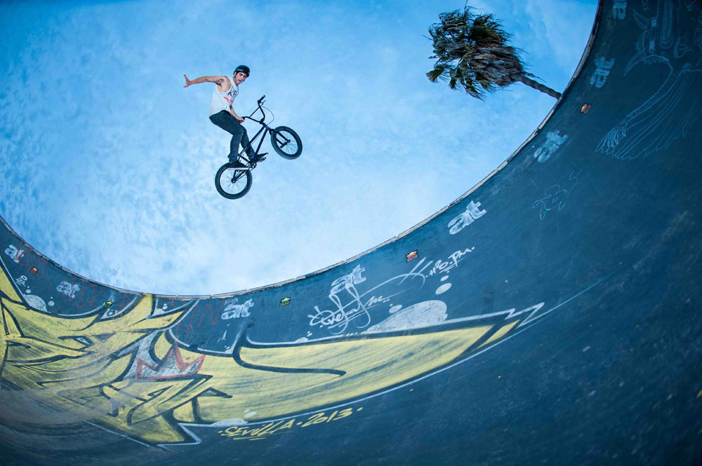 bmx-one-hander-bowl-skatepark