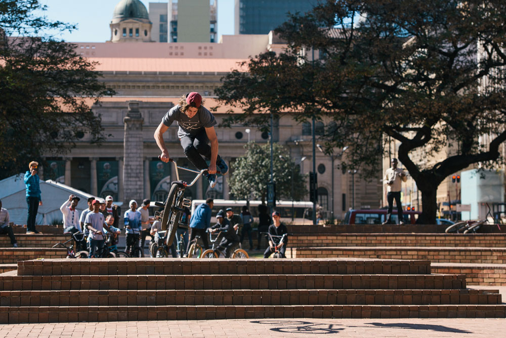 Robert-Davies---Tailwhip---Library-Gardens