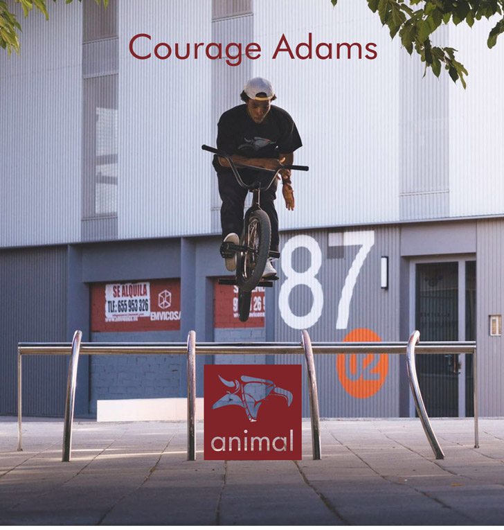 courage-adams-animal-bikes-bmx