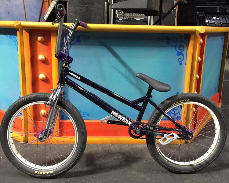 mike-dinello-bmx-bike