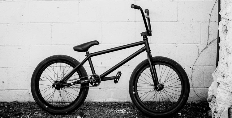 animal bmx bike