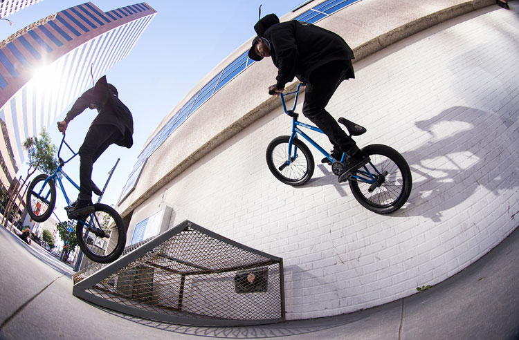 Animal Bikes Demarcus Paul Pro Team BMX