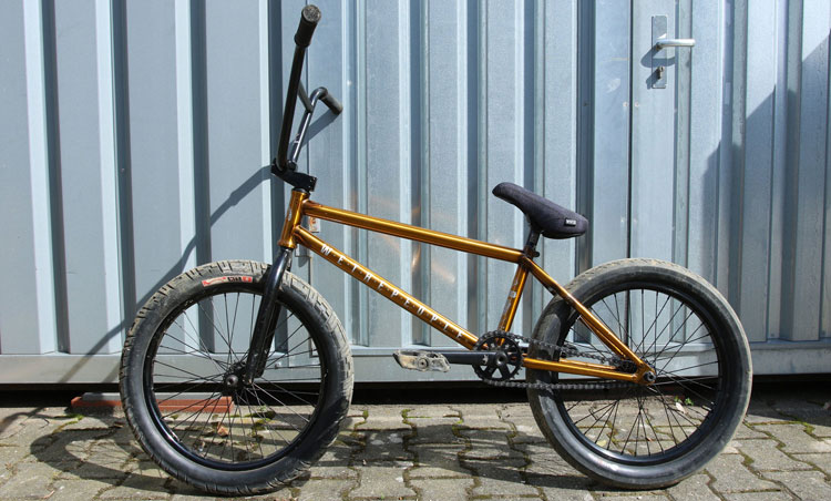 Max Gaertig Wethepeople BMX Buck Bike Check