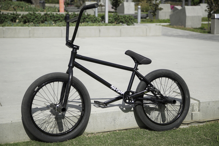 Division Brand Wolfgang Ray Bike Check BMX