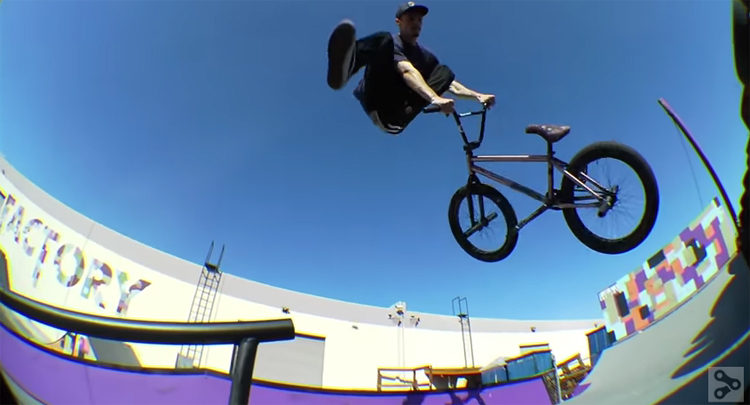 Session New Full Factory Distribution Ramps BMX