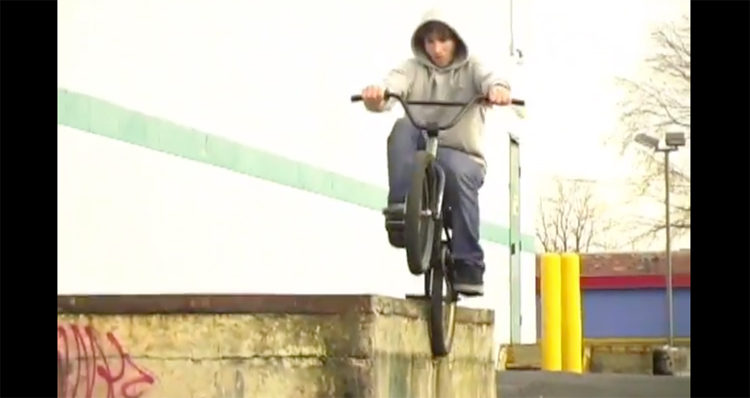Shook Put In Werk BMX DVD