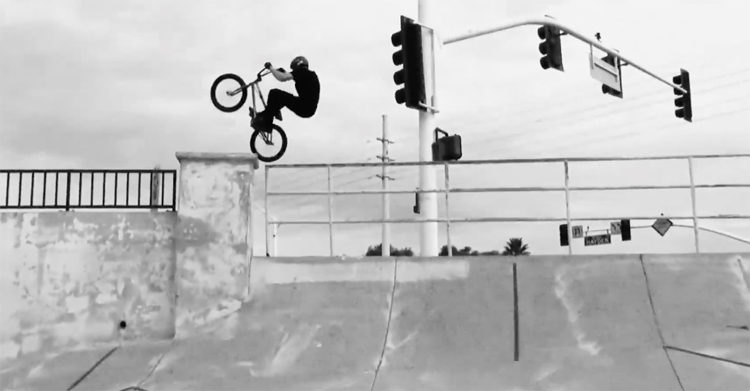 Vans BMX Slip On Pro Checkerboard Shoe