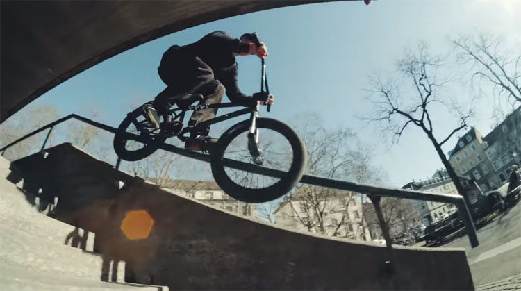 Animal Bikes Jo Gass 2019 BMX