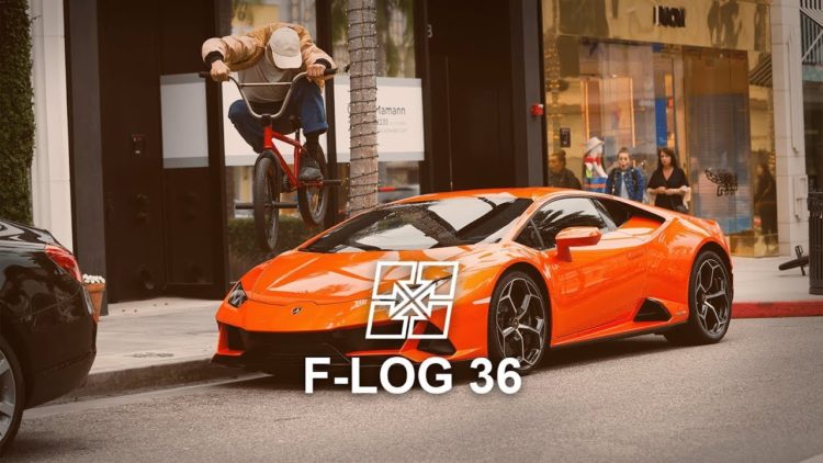 Fit Bike Co F-Log Augie Antics BMX