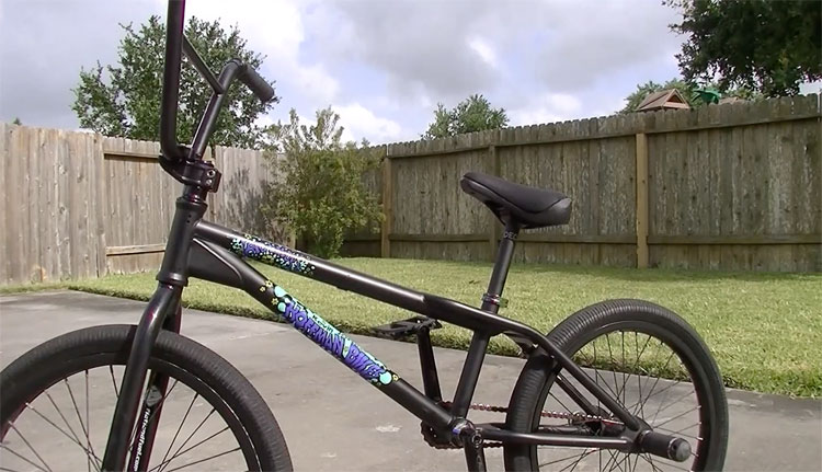 big daddy bmx bike