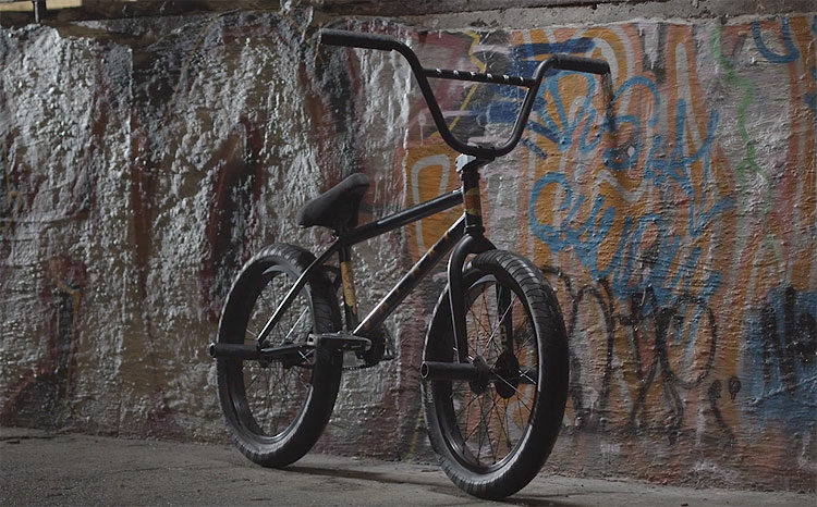Patryk Pieta BMX bike Check BSD