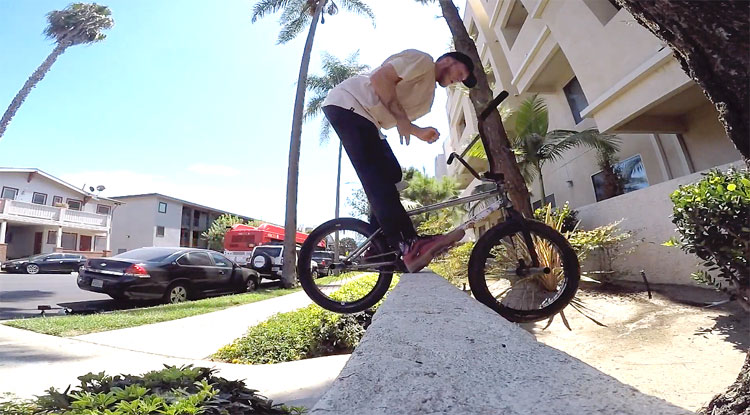 Gone Biking Summer 2019 Mix Video BMX