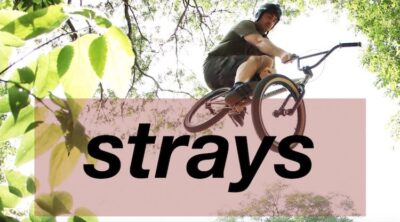 Strays 8 BMX