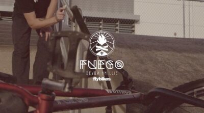 flybikes magneto hub