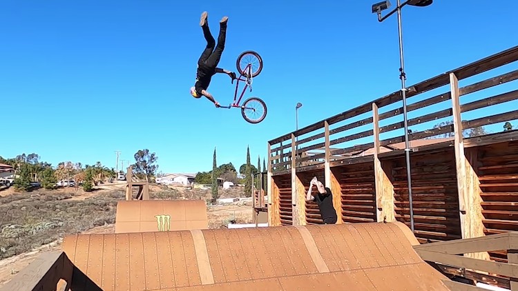 cody fee agent bmx