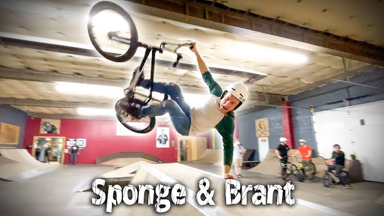 Sponge & Brant Moore