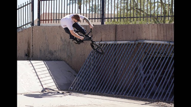 Animal Bikes Ethan Grothe For The Birds BMX