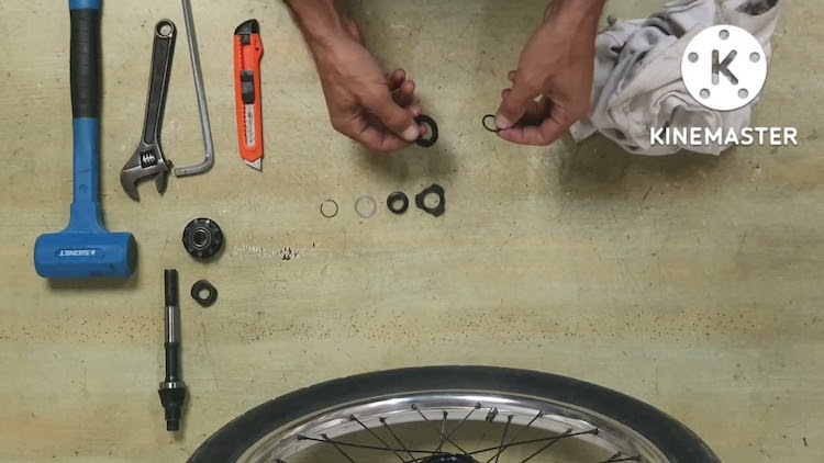 How To Service A Planetary Freecoaster Hub BMX