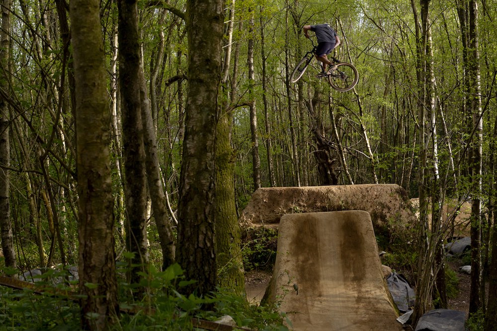 Shapes In The Woods Matt Roe