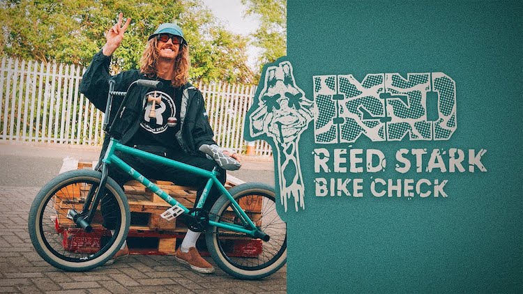 BSD BMX Reed Stark 2023 Bike Check