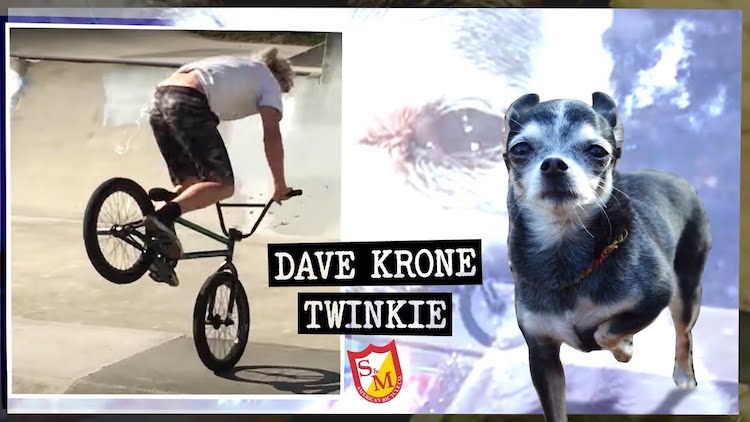 S&M Bikes Dave Krone 4 Twinkie BMX video