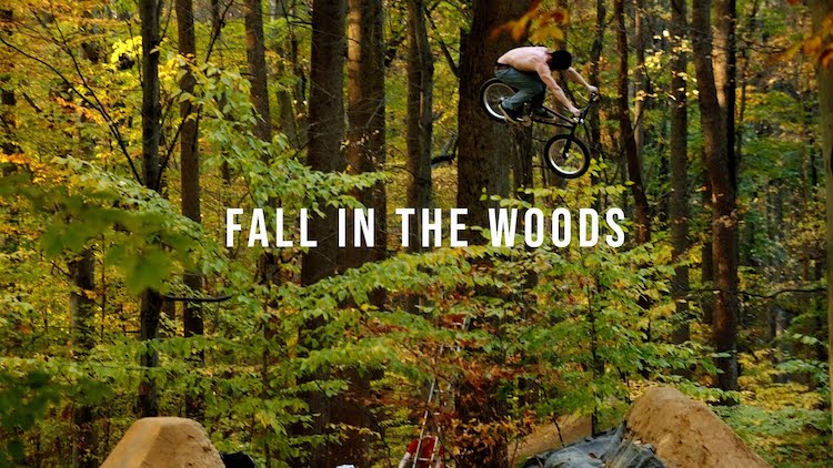 O'Hara BMX Trails 2023 Fall In The Woods