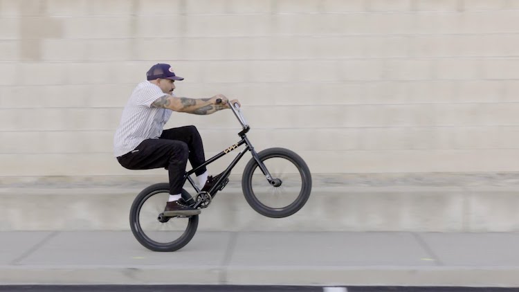 Source BMX Checking In Dakota Roche BMX