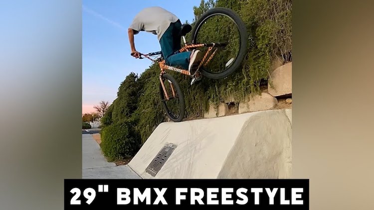 Chris Furmage 29" BMX Freestyle
