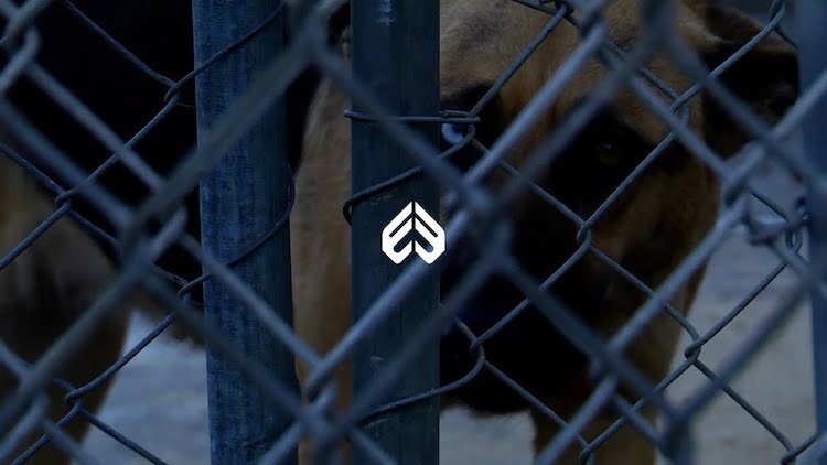 Eclat BMX Nomad Brandon Sawchyn