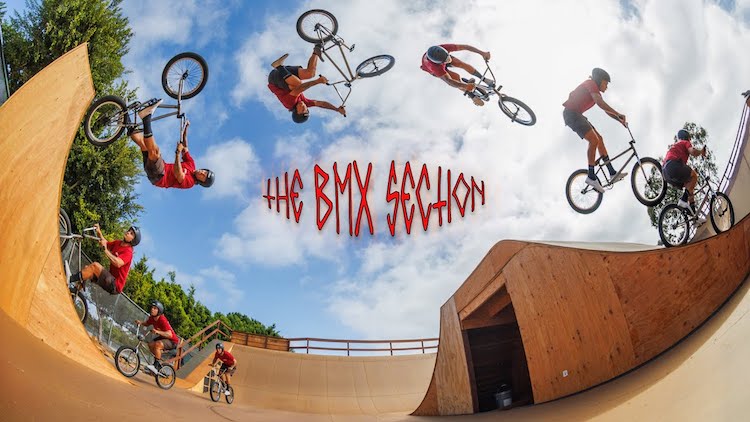 The BMX Section Clairemont Skatepark BMX