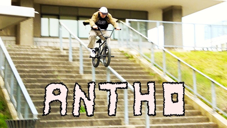 Vans Anthony Perrin BMX 2025