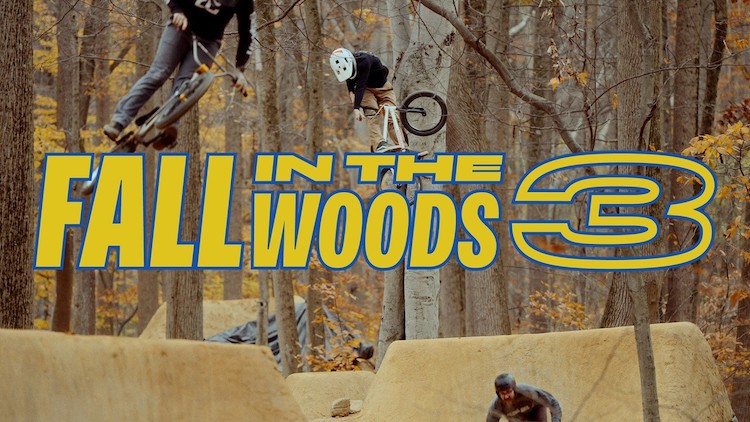 Fall In The Woods 3 BMX
