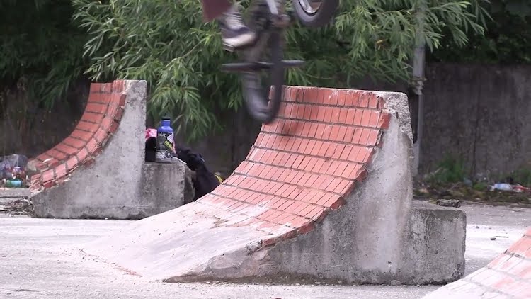 Wethepeople BMX Will Jackson 2025