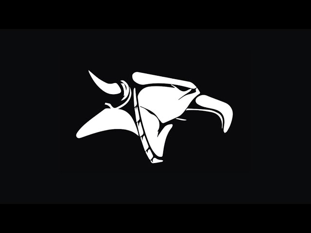 Animal Bikes Instict video