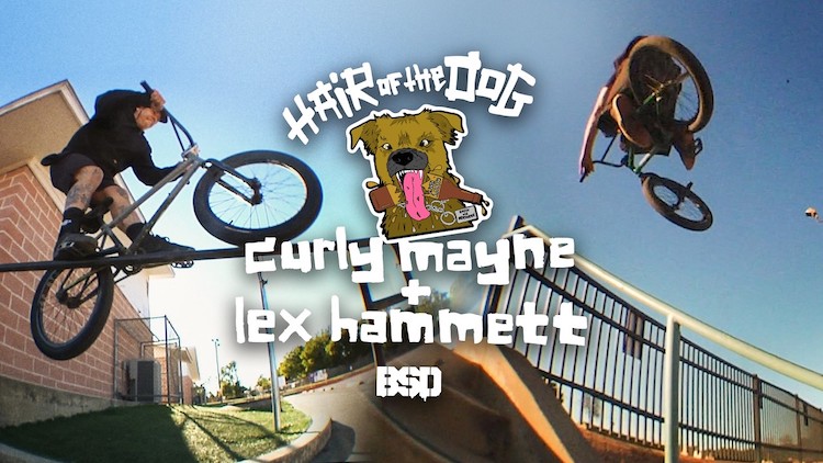 Curly Mayne Alex Hammett Hair of the Dog BMX