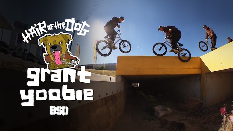 Grant Yoobie Hair of the Dog BMX